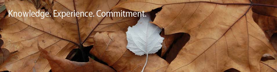 what makes us different